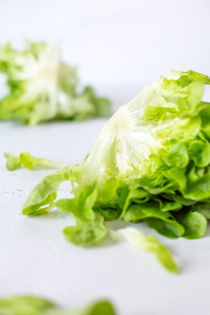Half slice of green lettuce leaves on white background. Fresh butter head salad closeup. selective focusの写真素材