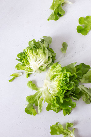 Half slice of green lettuce leaves on white background. Fresh butter head salad closeup. Selective focus, view aboveの写真素材