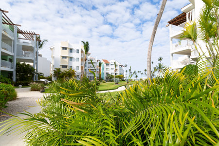 Backyard with tropical garden in typical modern caribbean residence, no peopleの写真素材