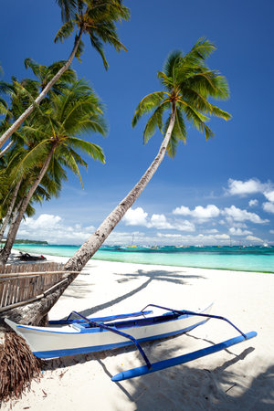 Pristine beach with palm trees, white sand and turquoise tropical sea. travel destination. Nobodyの写真素材
