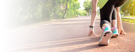 Fitness woman training and jogging in summer park. Healthy lifestyle and sport conceptの写真素材