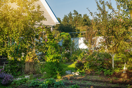 Summer rural garden with flowers, beautiful blossom floral cardの写真素材