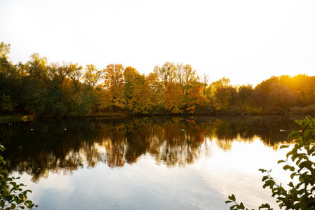 Autumn scene landscape with lake and vibrant foliage at sunset. Gold Novemberの写真素材