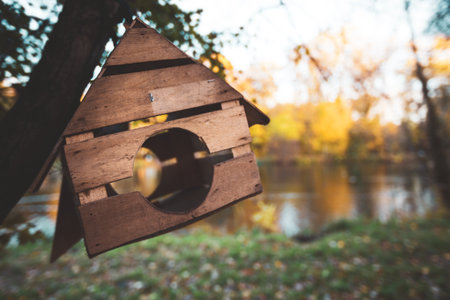 Birds wooden house at autumn parkの写真素材