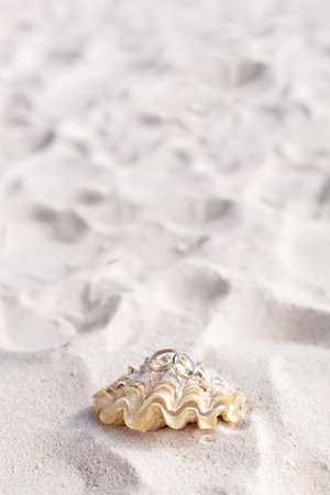 Celebration Valentine's day on beach, rings on shell