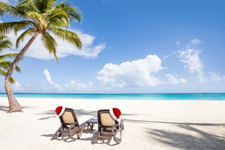 Beach calm scene with sunbeds under coconut palms close to Caribbean sea. Tropical paradise with chaise lounges on white sand, beautiful travel card backgroundの写真素材