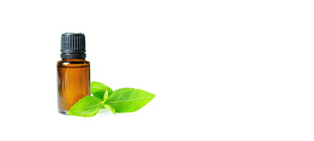 Essential oils in dark glass bottle with aroma herbs. Aromatherapy concept. Fresh leaves of Peppermint closeup to jars on white background, no people, selective focusの写真素材