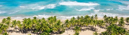 Wild tropical coastline with coconut palm trees and turquoise caribbean sea. Beautiful travel destination. Aerial view. Long bannerの写真素材
