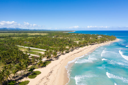Wild tropical beach with palm trees and turquoise Caribbean sea. Beautiful seashore. Aerial viewの写真素材