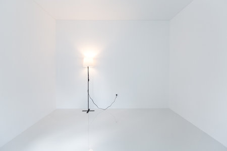 Torch lamp standing at empty room interior and glowing warm light rays on white mockup wall, nobody, selective focus.の写真素材