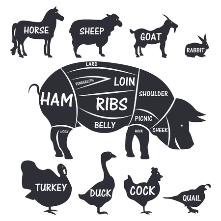 Farm animals and poultry silhouette icons set with typographic isolated vector illustration. のイラスト素材