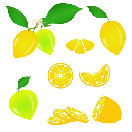 set of fresh lemons white isolatedのイラスト素材