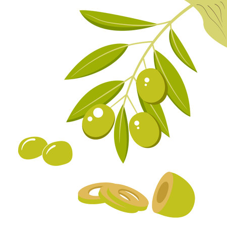 Fresh olivesのイラスト素材