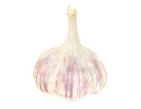 fresh garlic isolated on white backgroundの写真素材