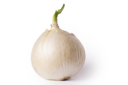 natural, fresh onion, onion with a green onion stalk. isolated on white backgroundの写真素材