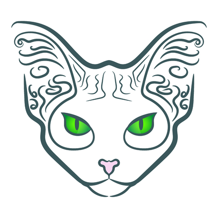 bald cat. vector illustration. Great for printing on clothesのイラスト素材