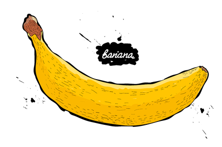 Doodle.vector illustration. drawing of fruits. banana.のイラスト素材