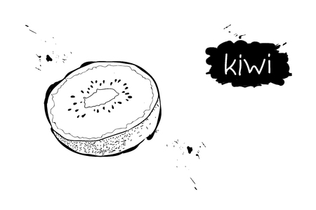 Cut kiwi. A whole kiwi. Black and white doodle.のイラスト素材