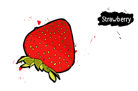 strawberry. splashes of juice. the drawing hands.のイラスト素材