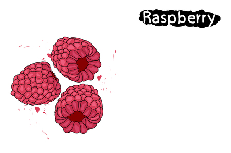raspberries. squirt of raspberry juice.のイラスト素材