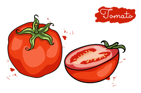 A juicy, ripe red tomato. half of the tomato. squirt of tomato. vector illustration.のイラスト素材
