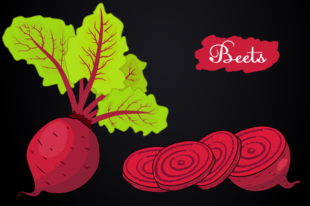 Beet. Beets with a bundle of leaves. Pieces of beet. Useful vegetables. Vegetarianism. Vector illustration with black background. the drawing hands.のイラスト素材