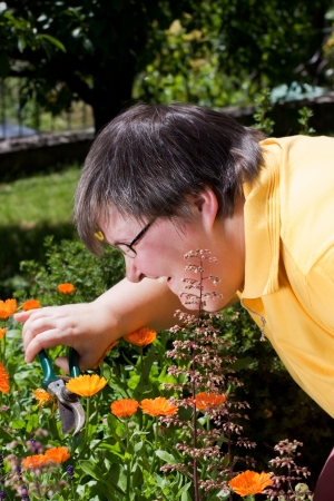 mentally disabled woman cut flowers in the gardenの写真素材