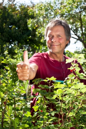 male Senior in garden lifts thumb upの写真素材