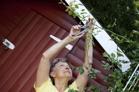 Active senior woman at the Rose Garden