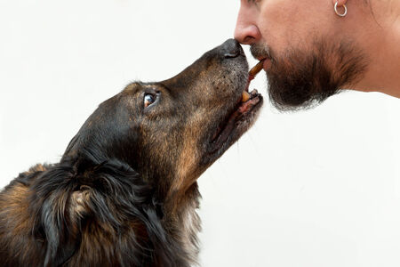 Man giving dog a treat with his mouthの写真素材