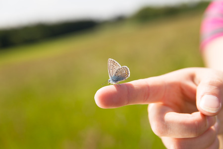 a female finger with an butterfly on itの写真素材