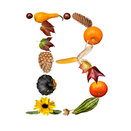 isolated Alphabet with autumn symbols Letter Bの写真素材