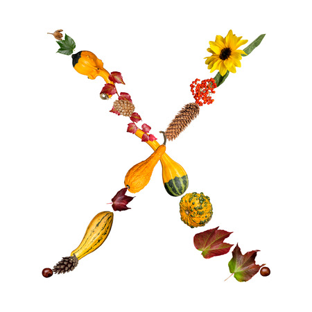isolated Alphabet with autumn symbols Letter Xの写真素材