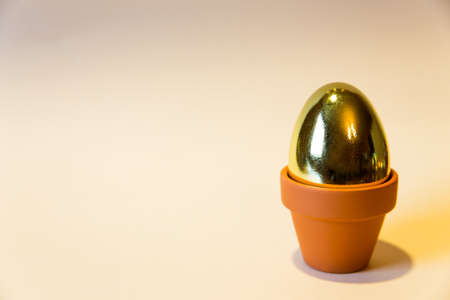 one golden egg with a yellow backgroundの写真素材