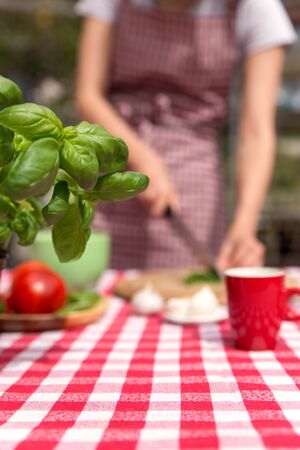 ingredients for a tomatoe sauce, red white tablecloth, woman cuts vegetablesの写真素材