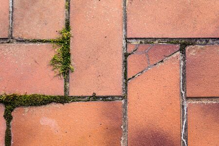 brown broken tiles with dirty joints and mossの写真素材