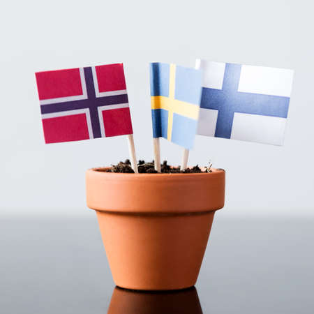 flags of finland, sweden and norway in a plant pot, concept scandinaviaの写真素材