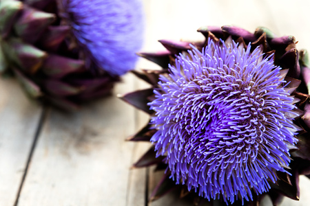 two artichokes on a wooden table, topview with copyspace, horizontalの写真素材