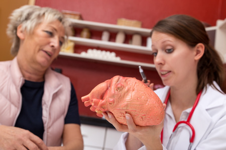 young female doctor with an plastic heart, explains a aged patient details and risks about operationの写真素材