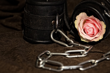 various love and erotic toys with a rose