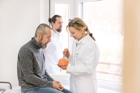 female neurologist is showing a male patient something on a synthetic brainの写真素材