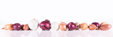 panorama of various onions in front of a white backgroundの写真素材