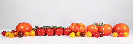 panorama with various tomatoes in front of a white and grey backgroundの写真素材