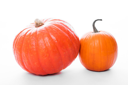 two pumpkins in front of white backgroundの写真素材