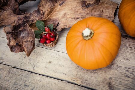 Pumpkins and rose hips on wooden table, background for autumnの写真素材