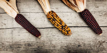 Brown and yellow corncob on wooden background, panoramaの写真素材