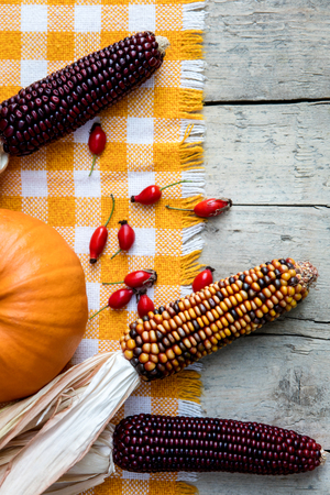 Table with autumn fruits, like pumpkin, corn cobs and rose hipsの写真素材