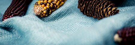panorama of pine cones and corn cobs on blue burlapの写真素材