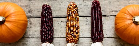 corncob and pumpkins on old wooden table, panoramaの写真素材