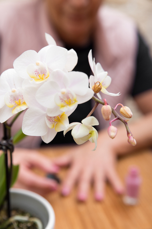 senior adult is colouring her nails with pink enamel, verticalの写真素材